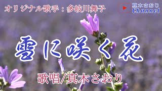 雪に咲く花 （多岐川舞子さん）唄/真木さおり