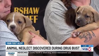 Kershaw County deputies arrest several in connection with drug and animal cruelty investigation