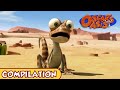 Oscar's Oasis - January COMPILATION