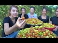 fresh jujube fruit in my homeland eating with chili salt jujube fruit