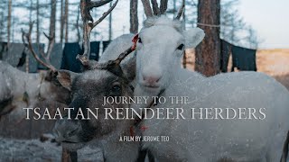 Journey to the Tsaatan Reindeer Herders: Northern Mongolia (A73 Cinematic Film)