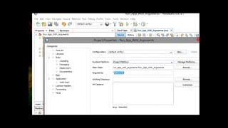 Netbeans :Run JAVA project with argument