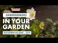 Gardening in July | NZ North Island | Bunnings Garden Diary