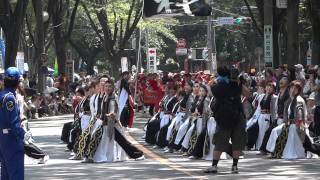 粋さん／公園通り会場（流し）３回目／彩夏祭2011