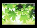 Turning a Large PDF File Into Wallpaper : Macs & Apple Computers