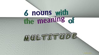 multitude - 7 nouns with the meaning of multitude (sentence examples)