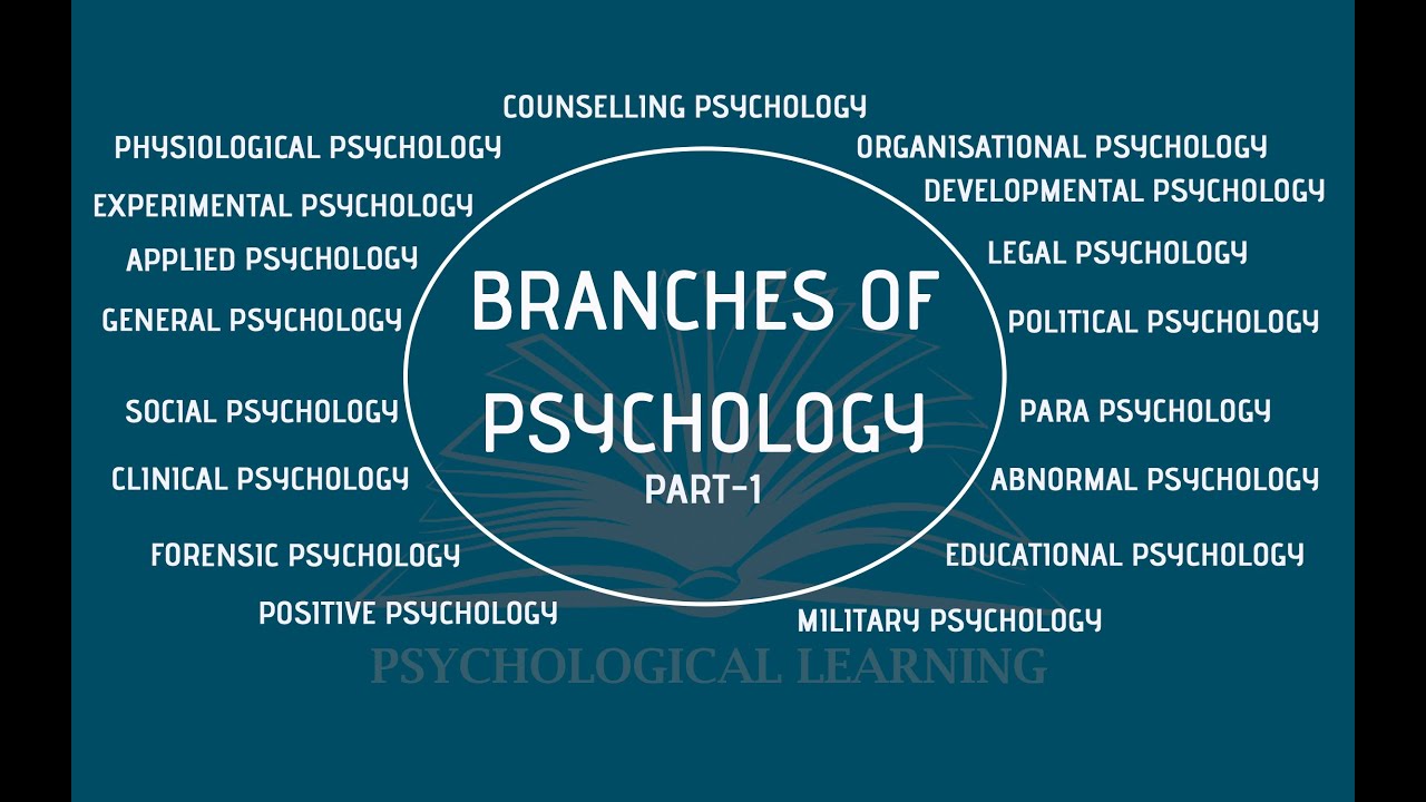 Branches Of Psychology 1 - YouTube