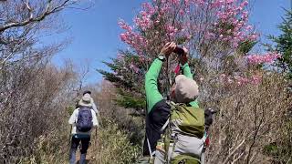 WOC登山部2022.05.04  ちち山08