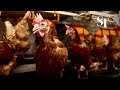 Food too good to waste | Live More, Waste Less