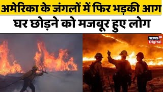 California Wildfire Update: America के जंगलों में फिर भड़की आग, घर छोड़ने को मजबूर हुए लोग