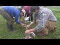 Class explores cover crops in ag systems