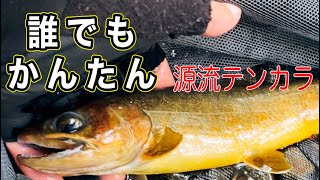 【必見】源流にいる岩魚はこんなに簡単に釣れるんです！【毛鉤・テンカラ】