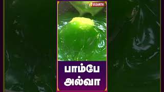 அசத்தலான பாம்பே அல்வா😋 Bombay Halwa | Junior Kitchen Killadigal #Shorts