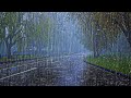 Fall asleep in just 3 minutes with Heavy Rains, strong Winds on the empty road in the suburbs