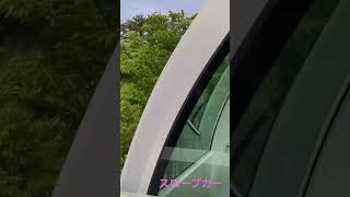 恐怖のスロープカー　@浜松フラワーパーク