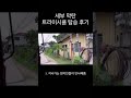 세부 여행 트라이시클 탑승후기 해외여행 세부여행 필리핀 shortsvideo 쇼츠 shorts short 보라카이