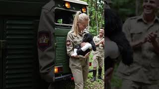 A Mother Gorilla’s Despair Turns to Joy as Rescuers Heal Her Injured Baby. #animals #wildlife