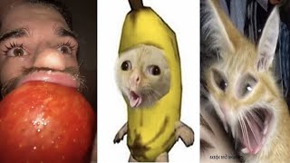 TRY NOT TO LAUGH 😂 NEW Best Funny Meme Videos 😆😂🤣 PART 23