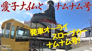 愛子大仏とナムナム号