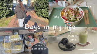 Vlog 🥛 spesa, regali, matcha latte 🌱 chips di cavolo nero  e ramen a modo mio