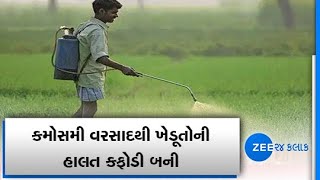 Viramgam farmers demand compensation of crop loss due to unseasonal rains in Gujarat | Zee News