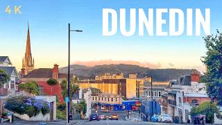 Dunedin New Zealand Night Driving Tour Summer 2025 4K | Dunedin City Centre To Signal Hill | Sunset