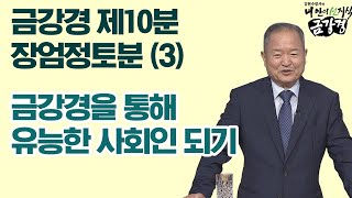 금강경 제10분 장엄정토분(3),  유능한 사회인이 되기 [김원수 법사의 내안의 선지식 금강경 199회]