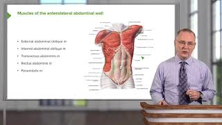 Inguinal Canal(Anatomy of Abdomen)