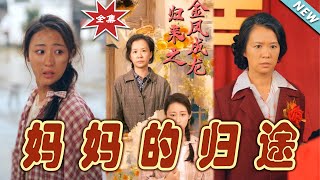 【大結局完整版】《媽媽的歸途》第1~66集#热血#都市#玄幻#亲情 #逆袭#玄幻剧场 #short drama#chinesedramaengsub