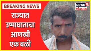 Farmer Died due to Heatstroke in Osmanabad | राज्यात उष्माघाताचा आणखी एक बळी