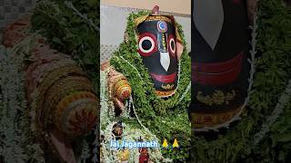 Jai Jagannath 🙏🙏 || Mahesh Jagannath Ji Ki Darshan 🙏🙏