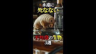 永遠にﾀﾋなない不●身の生物3選 #shorts #都市伝説