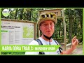 👉BABIA GÓRA TRAILS🚴‍♂️ Najpiękniejsze trasy rowerowe: Małopolska.