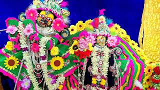 BEAUTIFUL DARSHAN OF SRI RADHASHYAMSUNDAR DEV JI. SRI RADHASHYAMSUNDAR TEMPLE, SEVAKUNJ, VRINDAVAN .