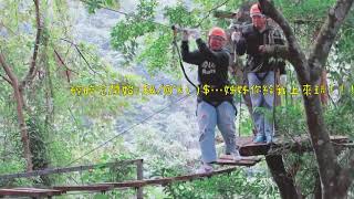 野猴子探險森林 樹冠層探險