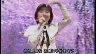 酒井法子 梦冒险