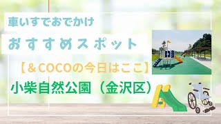 ～あんどここの今日はここ～　インクルーシブな公園　小柴自然公園に行ってみた♪