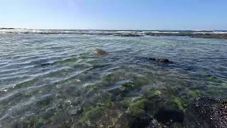 3 Hours | Honokohau Beach, Hawaii – Gentle Ocean Waves on Lava Rocks for Sleep & Relaxation