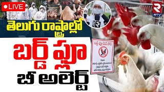 Bird Flu Virus Updates🔴LIVE : తెలంగాణ , ఏపీలో బర్డ్ ఫ్లూ | Chicken Virus confirmed in Telangana, AP