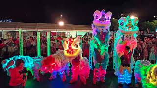 Multi Led Lion Dance