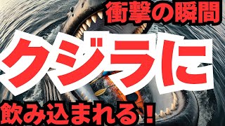 【衝撃映像】カヤック中の男性がクジラに飲み込まれる…奇跡の生還！