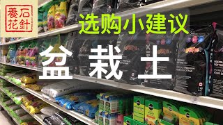 [石针养花]说说商店卖的盆栽土