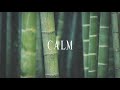 calm 02 relax piano calming music sleeping music stress relief peaceful music cafe music