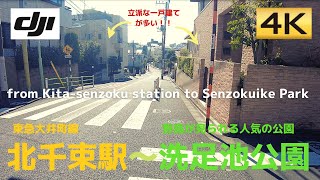 【のどか】北千束駅～洗足池公園までを歩く│from Kita-senzoku station to Senzokuike Park│東急大井町線北千束駅～洗足池公園【4K60│DJI Pocket2】