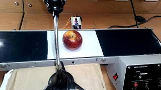 Fruit Sorting Machine using Image processing