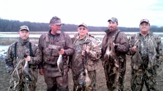 Beretta Extreme Ducker Migration Flyway Report