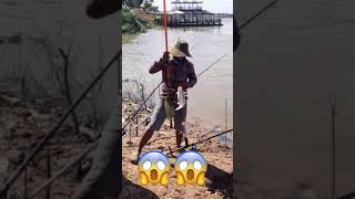 ស្ទូចត្រីនៅទន្លេ Fishing Fish  #fishing