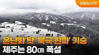 [뉴스초점] 온난화 탓 '북극 한파' 기승…제주는 80㎝ 폭설 / 연합뉴스TV (YonhapnewsTV)