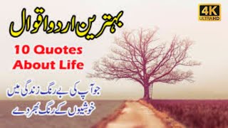10 beatiful urdu Quotes | Aqwal e Zareen | golden words in urdu | Zubair maqsood voice #qoutes #aqwa