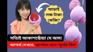 আড়াই লক্ষ টাকা কেজি! জানুন আশ্চর্য ‘মিয়াজাকি’ আমের গল্প Miyazaki mango #knowhow #miyazaki